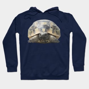 Greek Tortoise Testudo Tucked In Shell Cut Out Hoodie